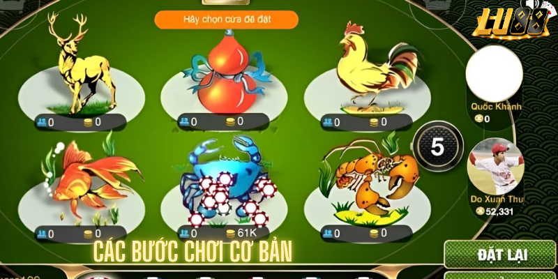 Các bước chơi cơ bản